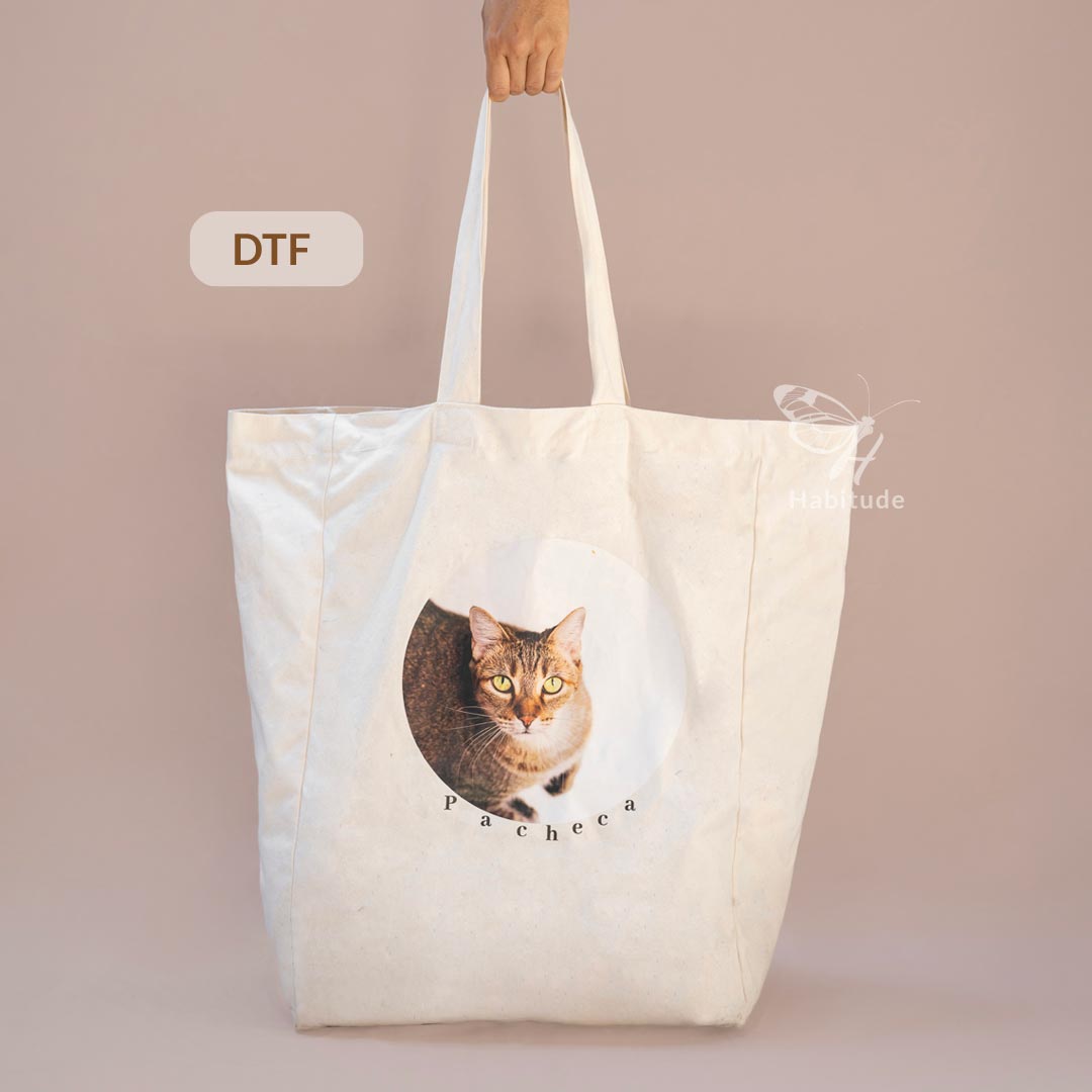 DTF-Fuelle-completo